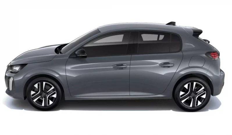 
								Peugeot 208 Allure PureTech 100 lleno									